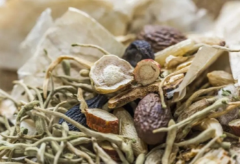 Drying of medicinal herbs